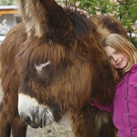 Garni Hotel Lavendelhof ナウェン エクステリア 写真
